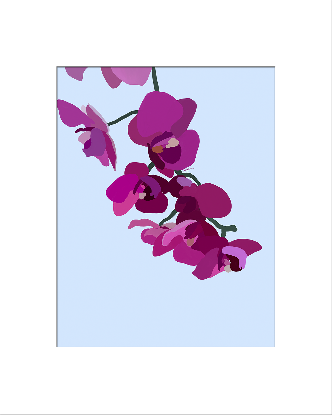 Orchids 2