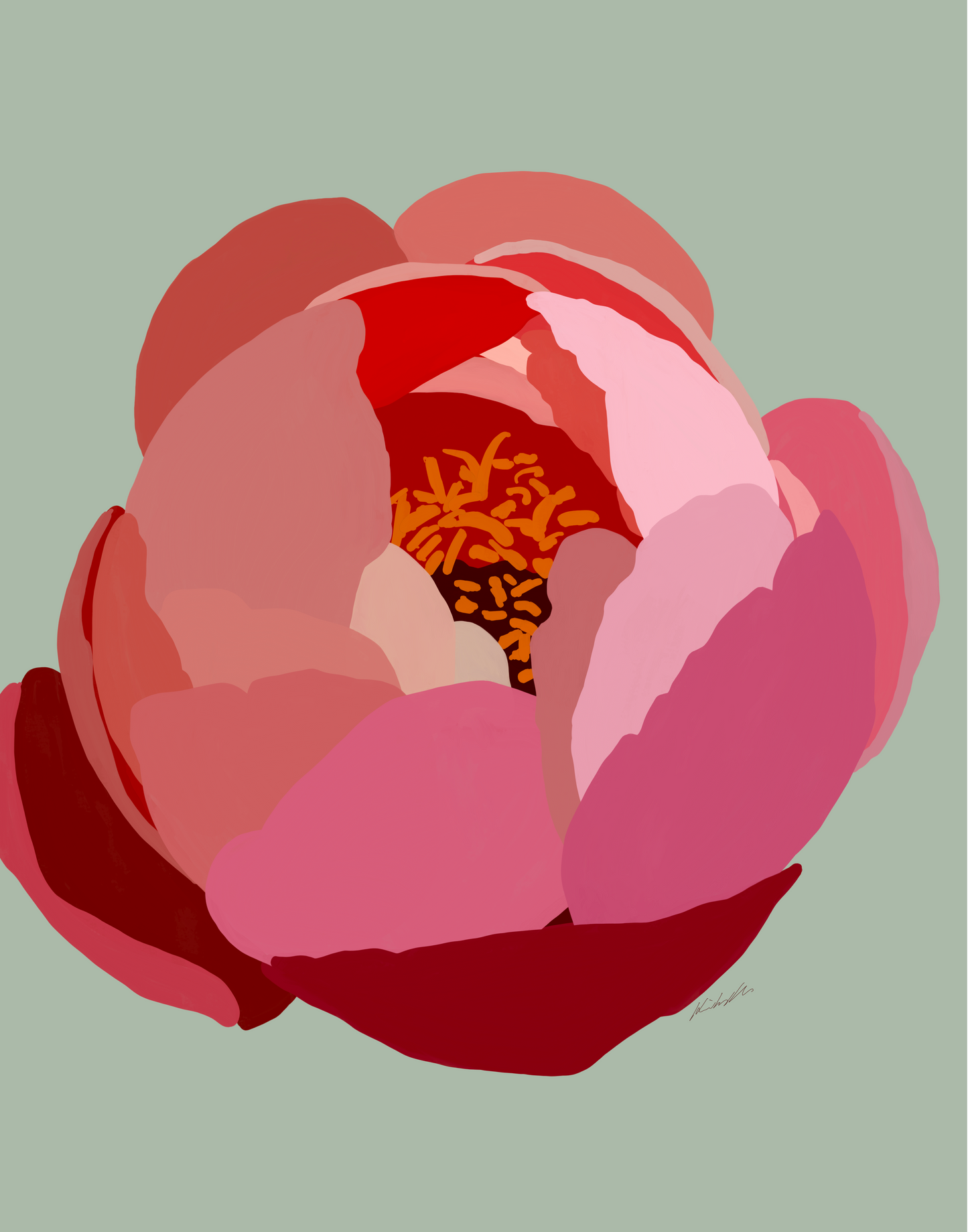 Chinese Peony