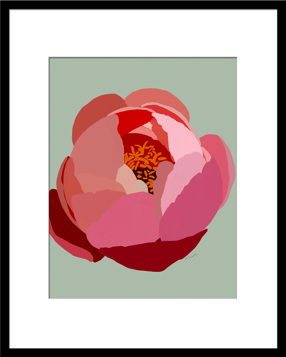 Chinese Peony