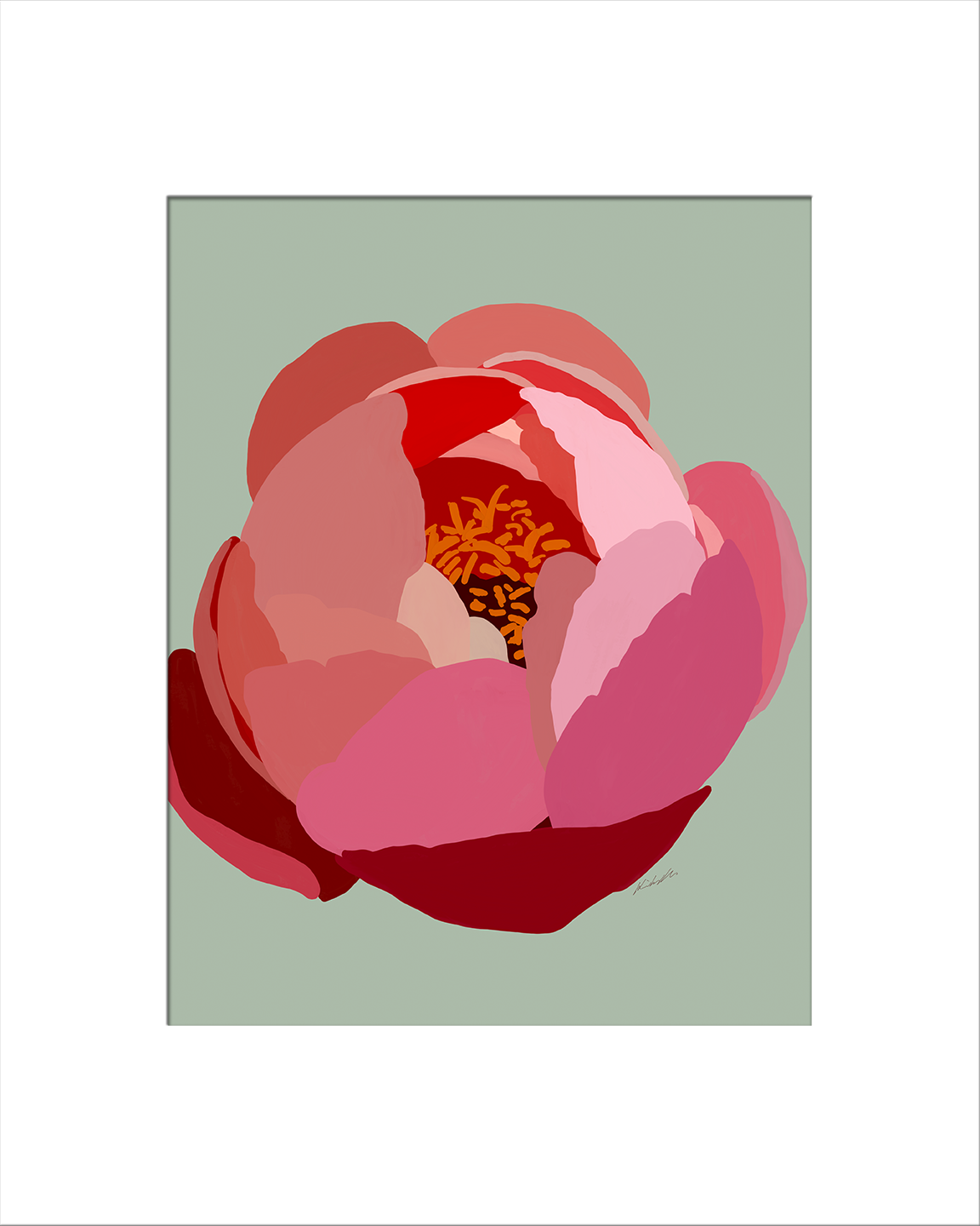 Chinese Peony