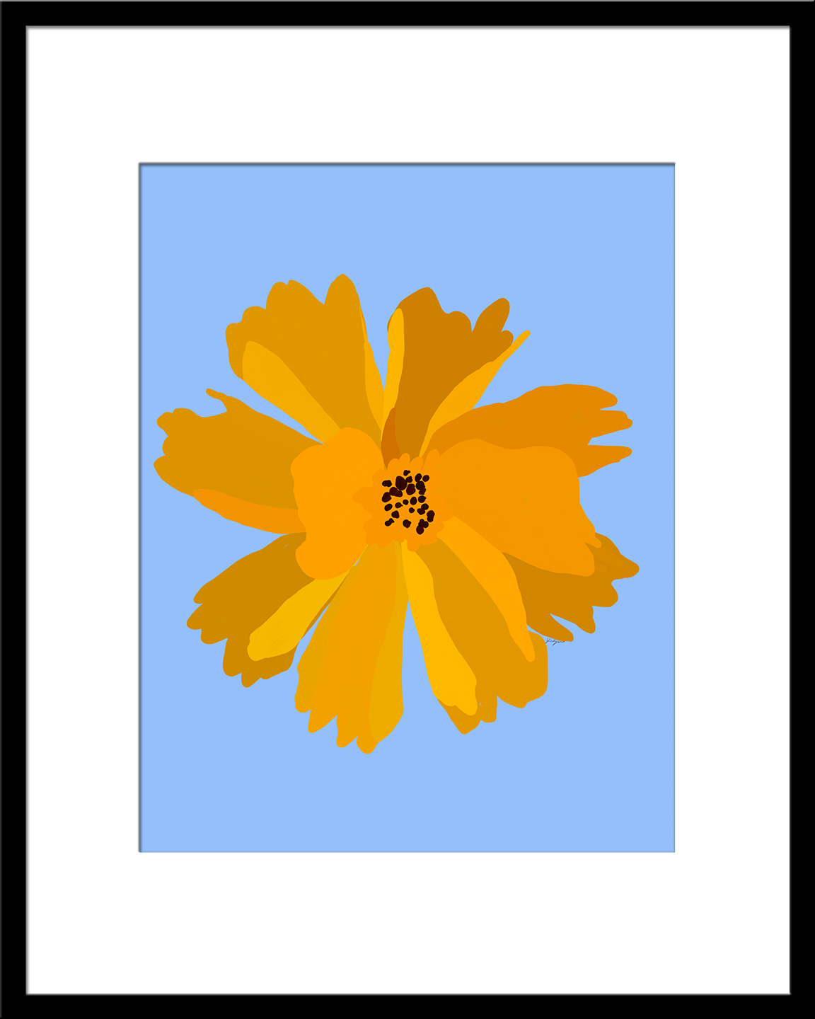 Lanceleaf Coreopsis