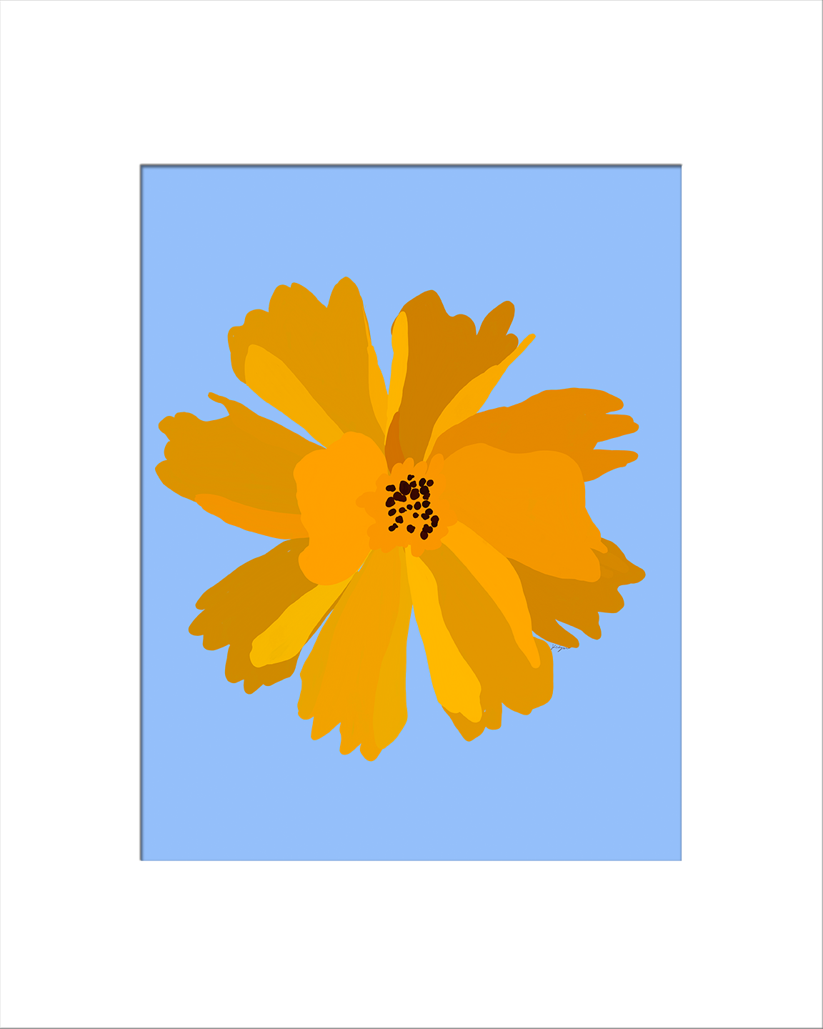 Lanceleaf Coreopsis