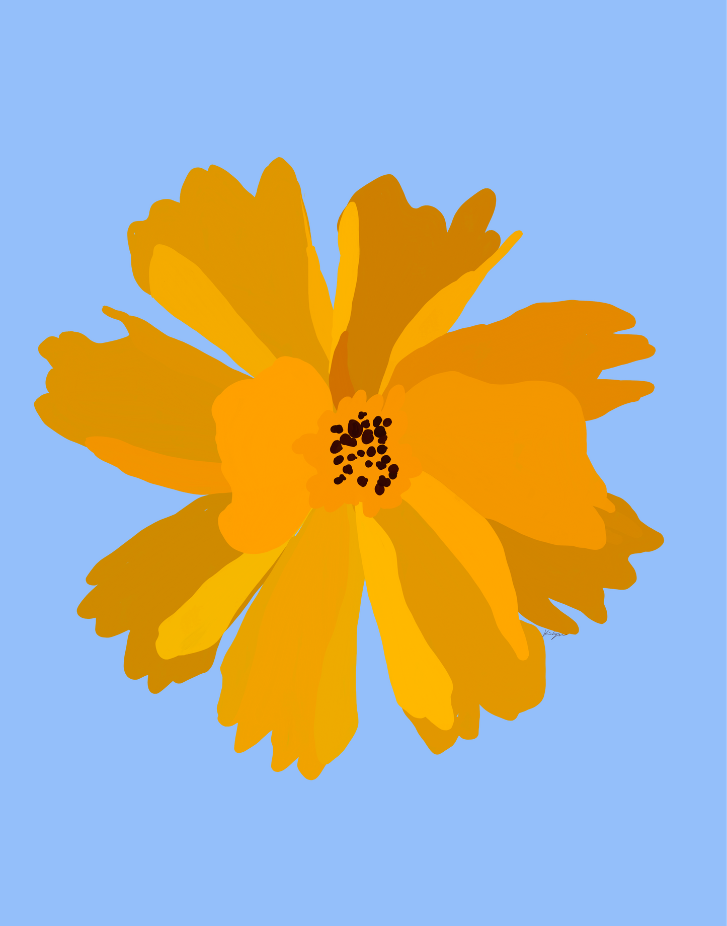 Lanceleaf Coreopsis