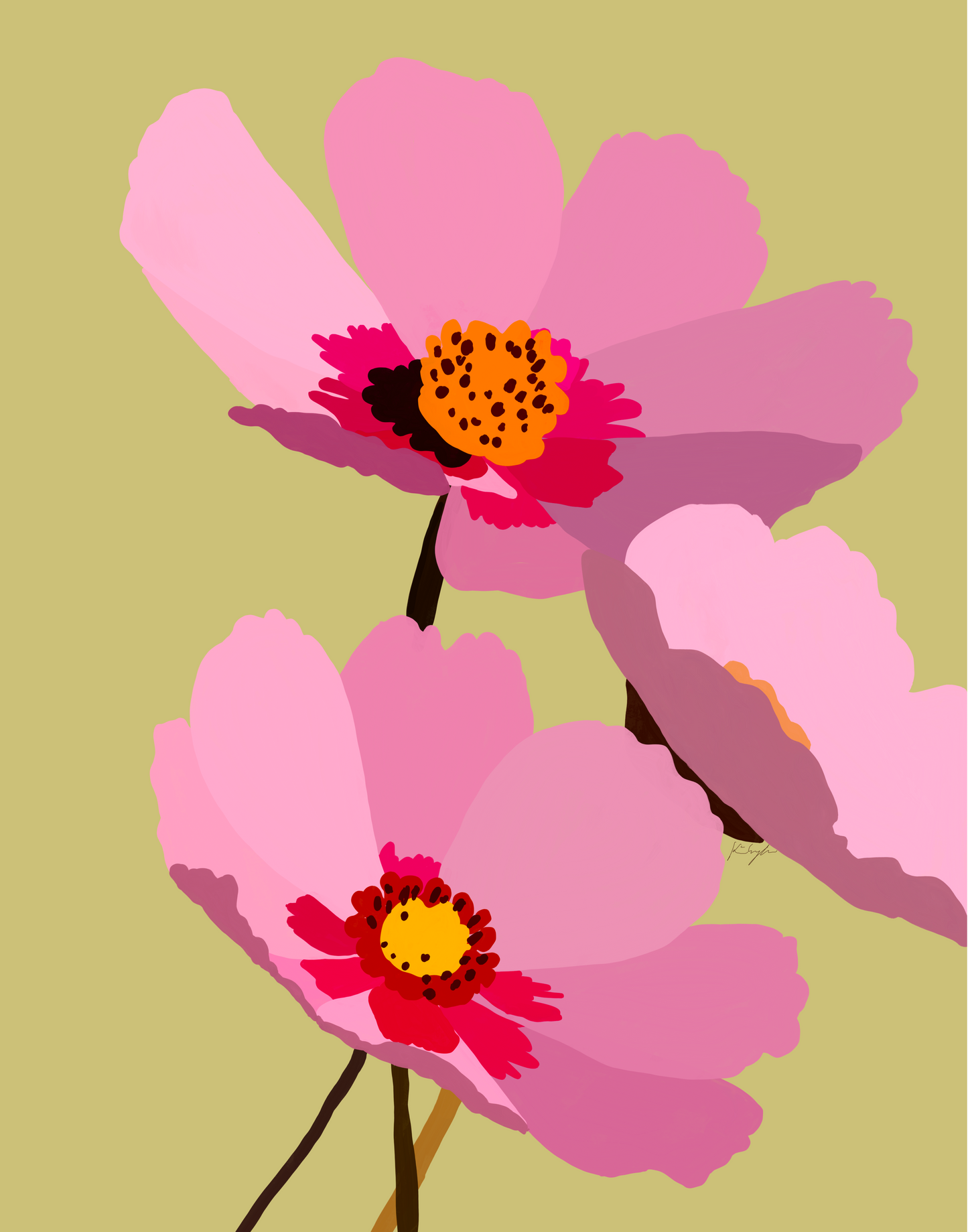 Blush Cosmos