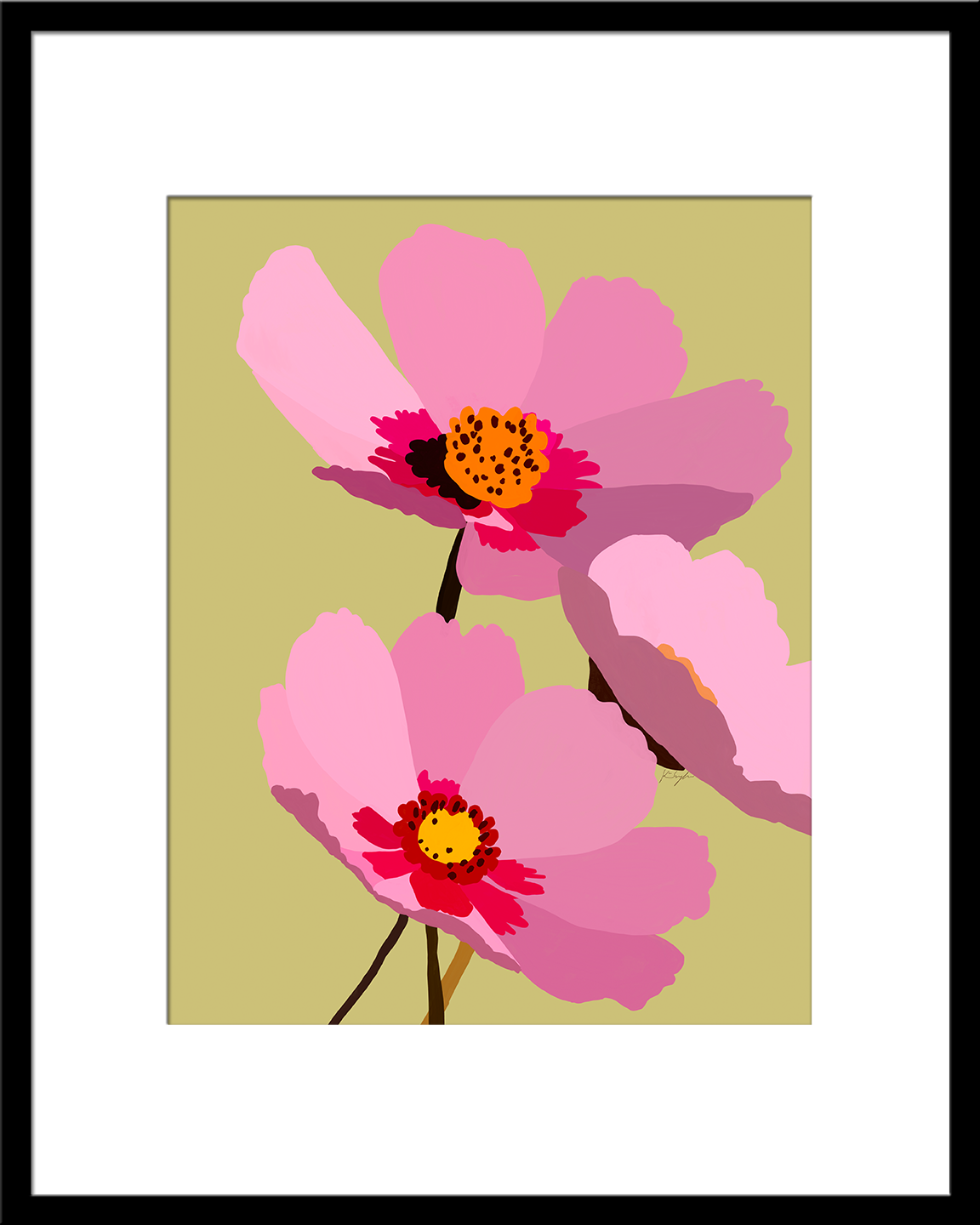 Blush Cosmos