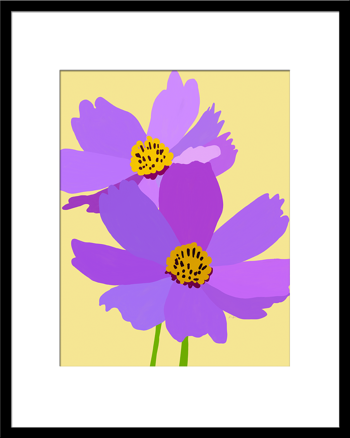 Purple Cosmos