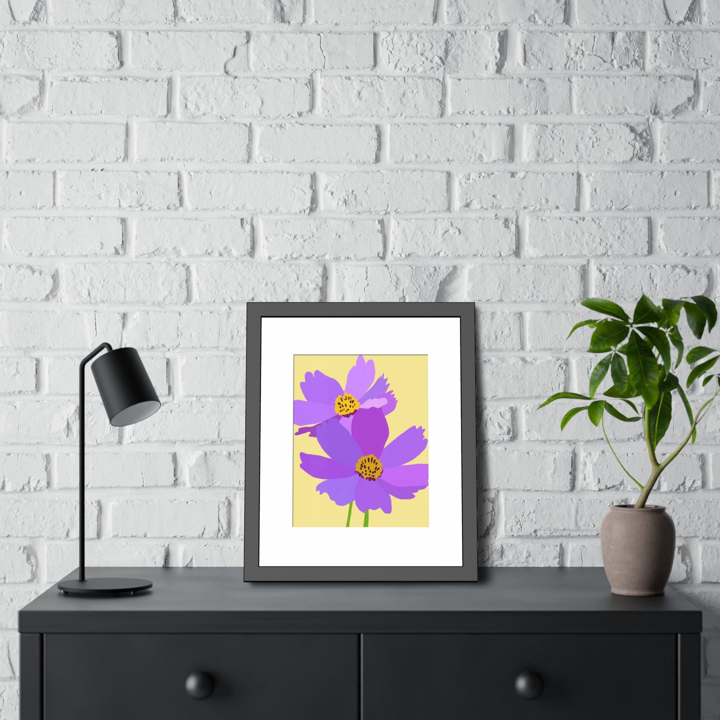 Purple Cosmos