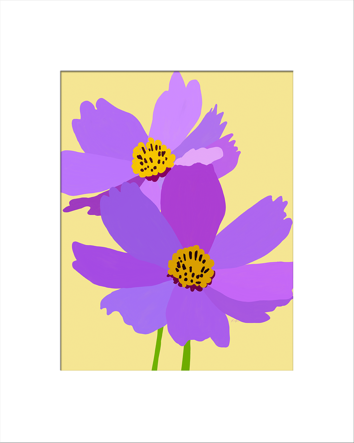 Purple Cosmos
