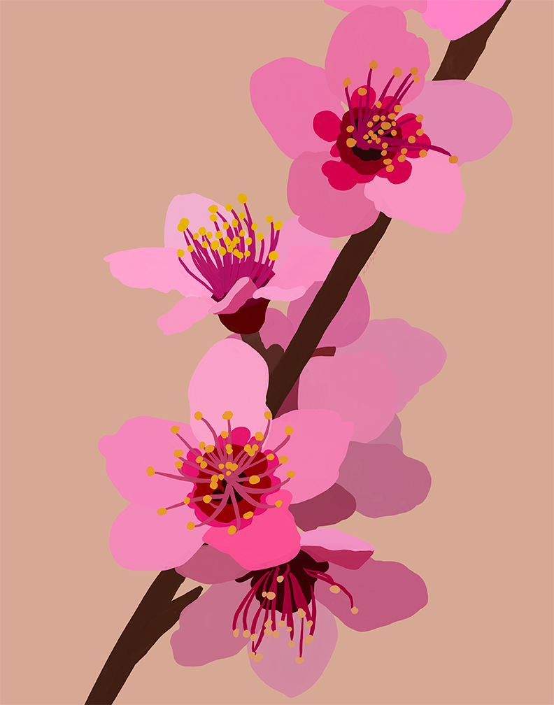 Peach Blossoms (Seattle Restored)