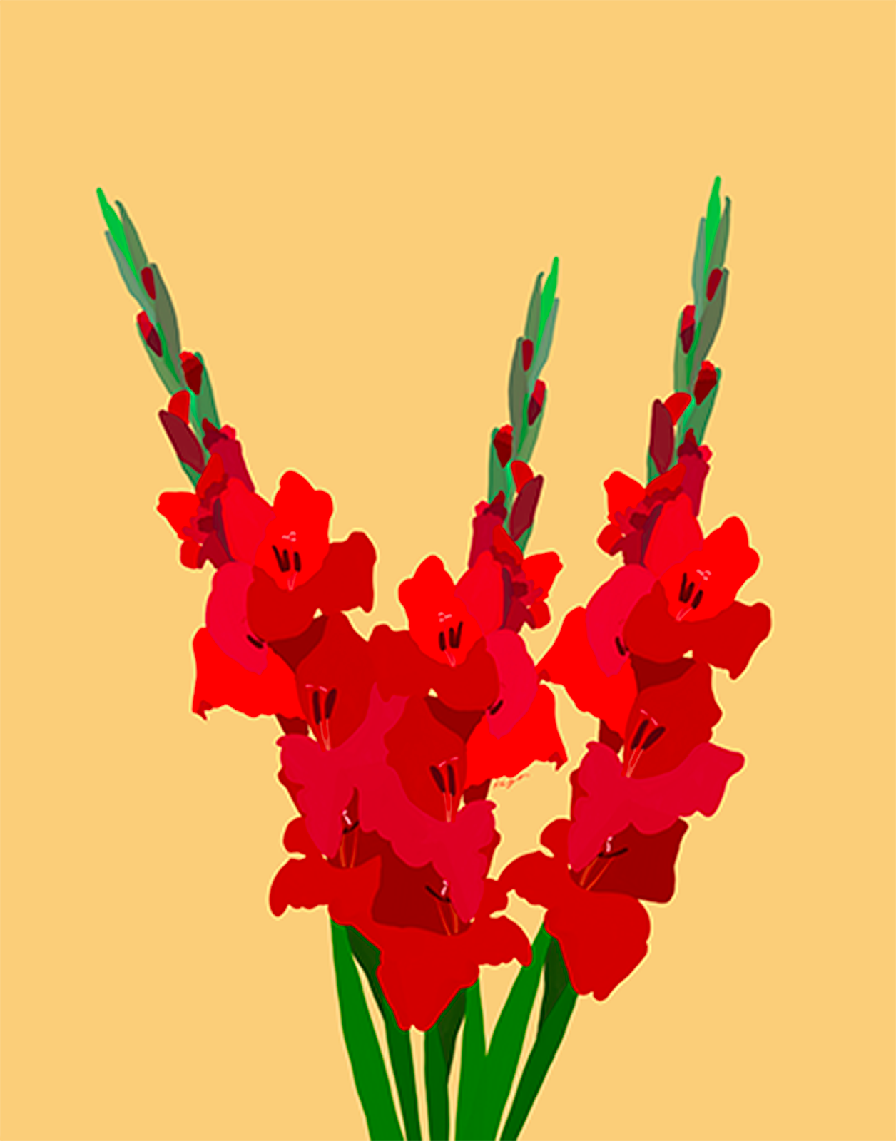 3 Red Gladioluses