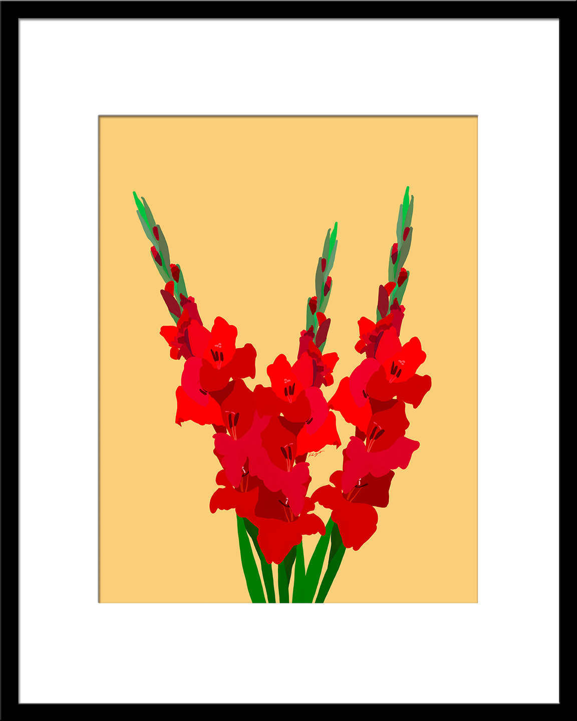 3 Red Gladioluses