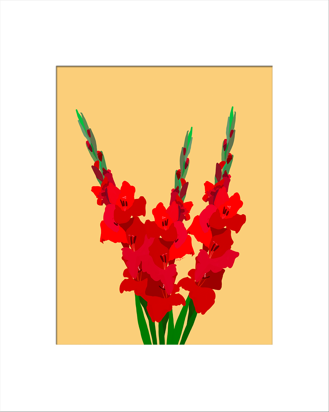 3 Red Gladioluses