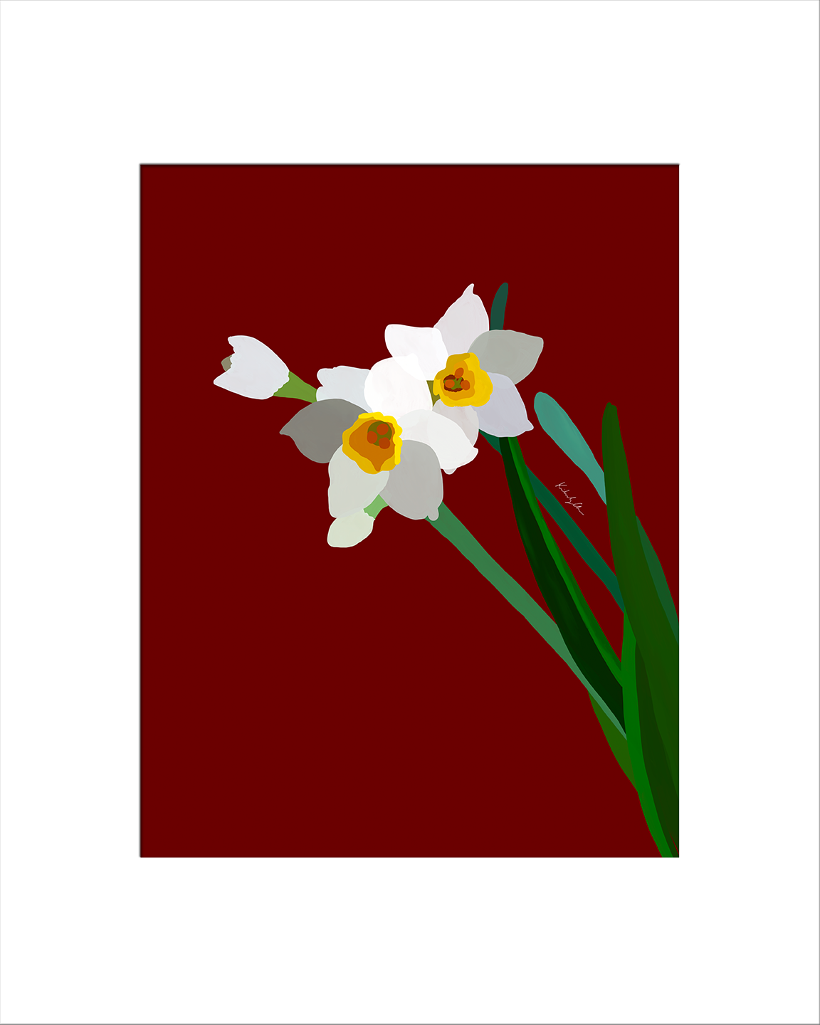 Daffodils (Water Fairies)