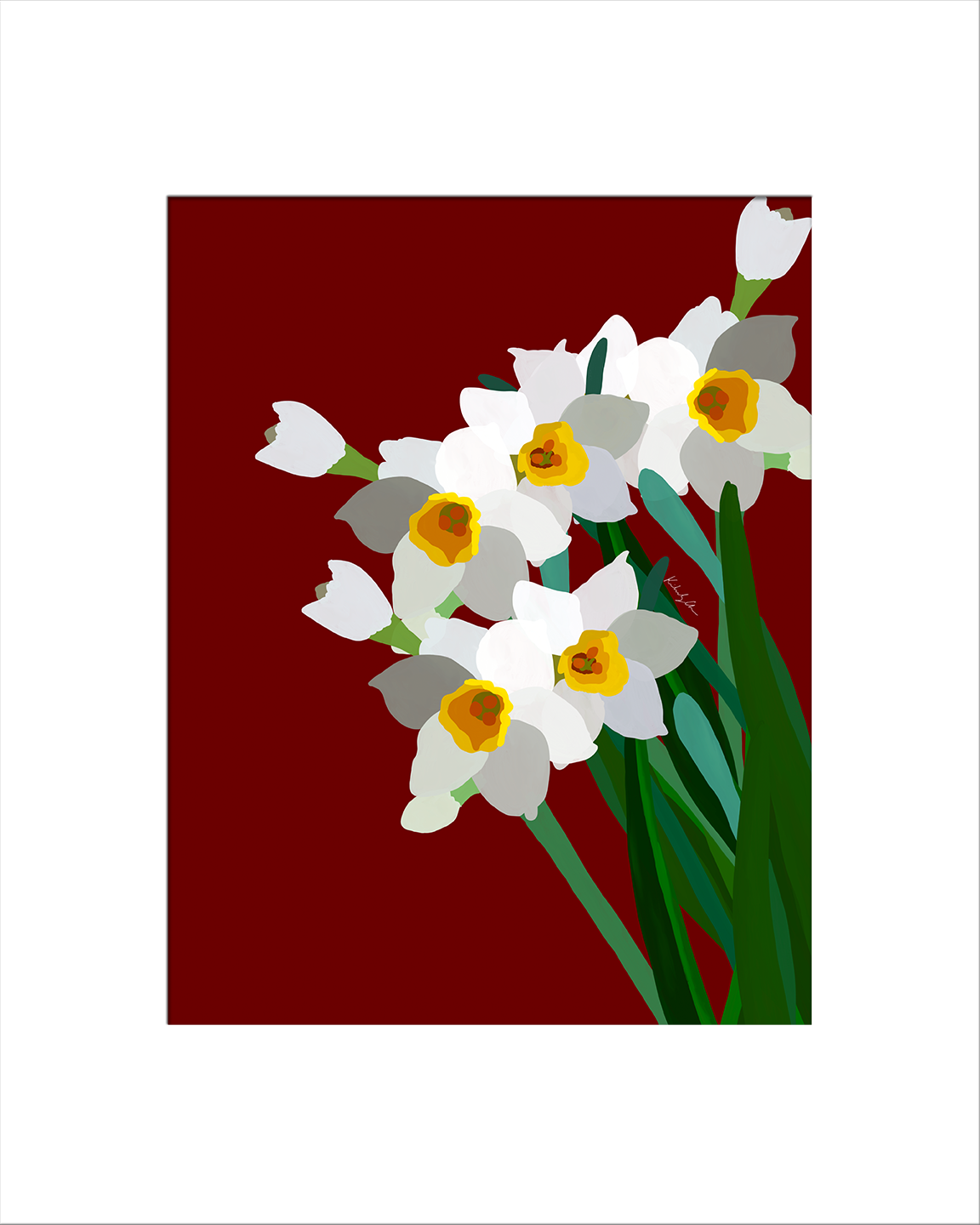 Daffodils (Water Fairies) 2