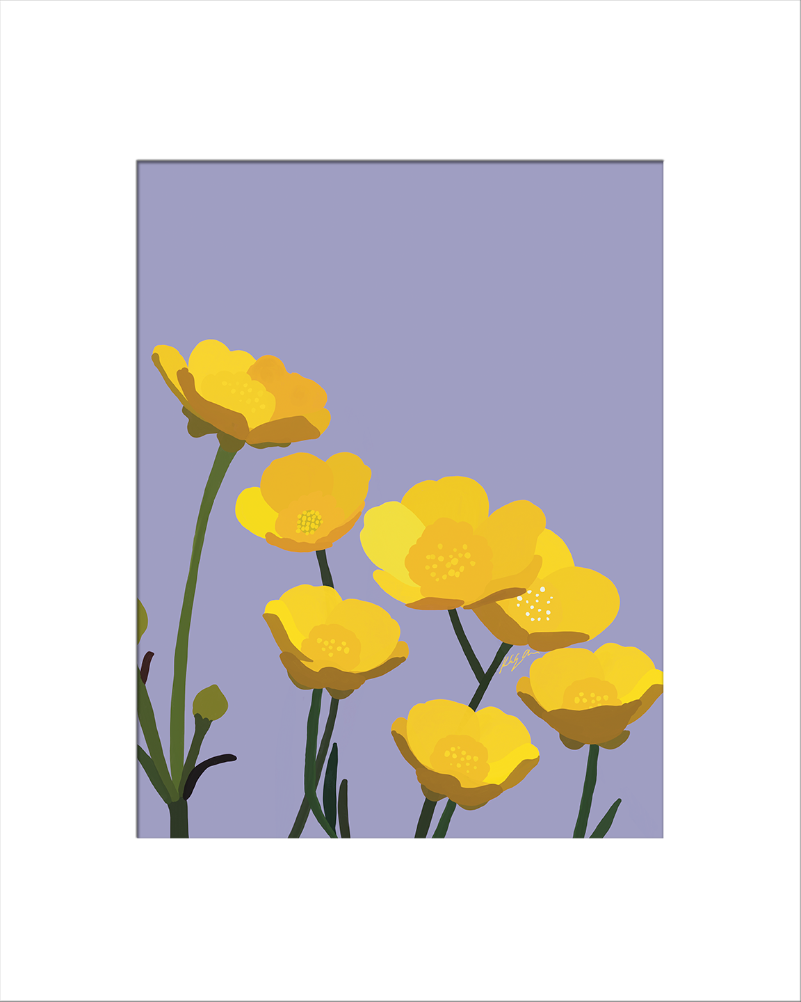 Buttercups