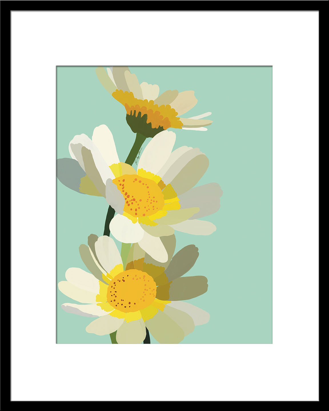 Daisies
