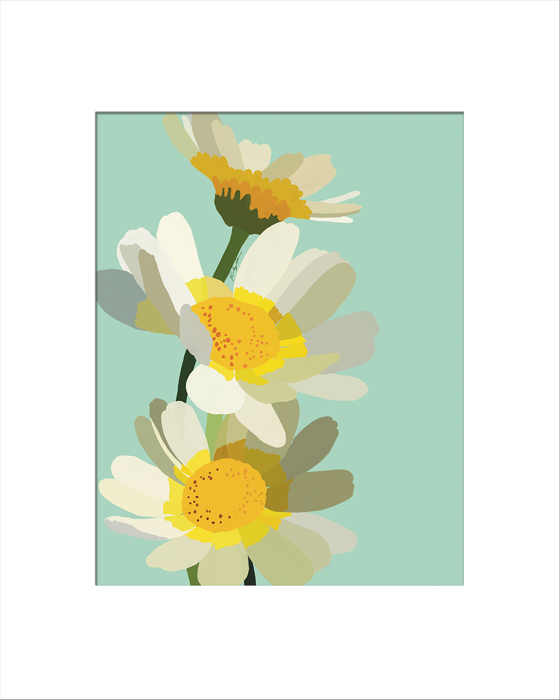 Daisies