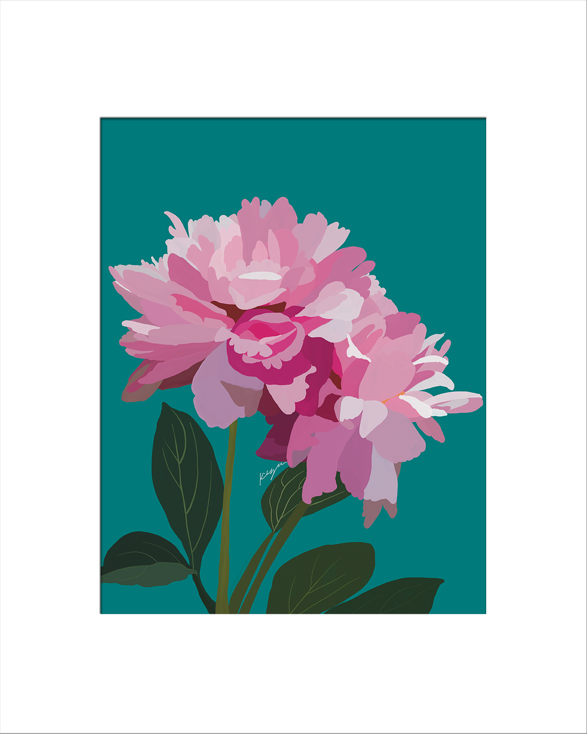 Dinner Plate Peonies