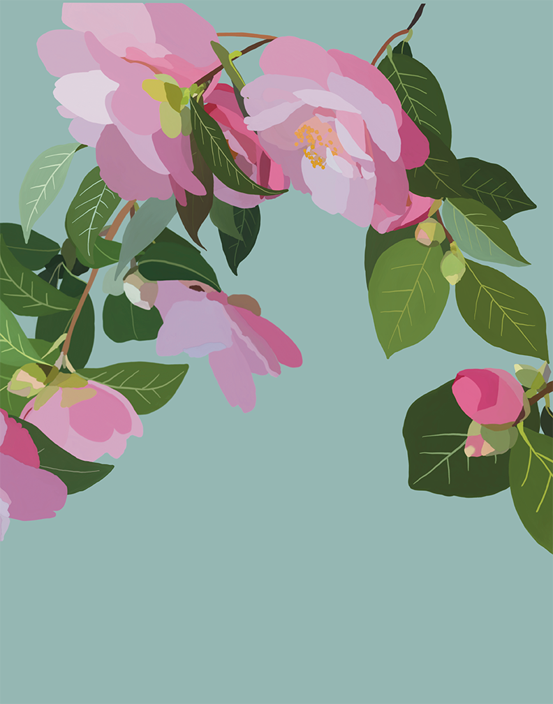 Camellia Wonderland