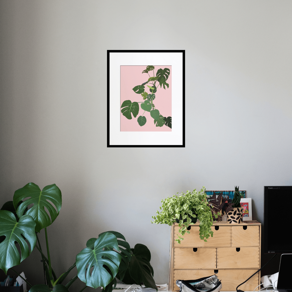 Monstera Love