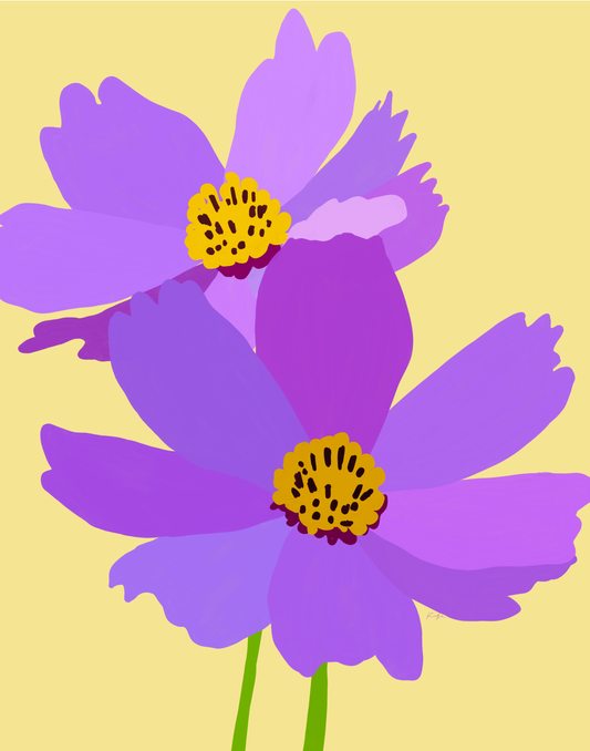 Purple Cosmos