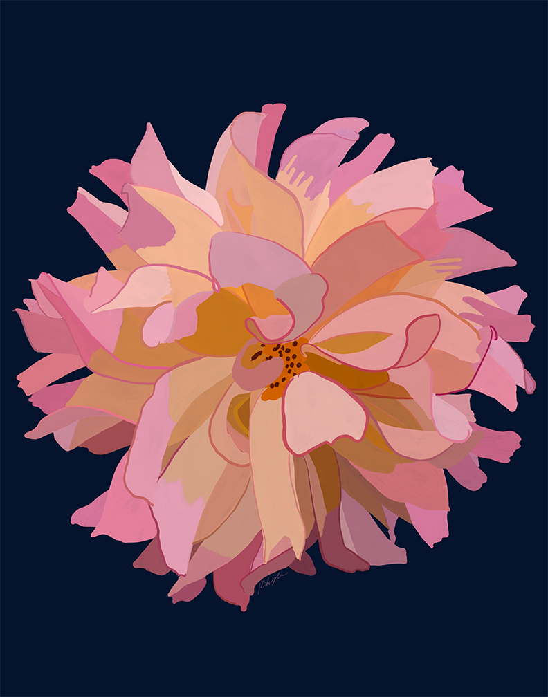 Pink Dahlia