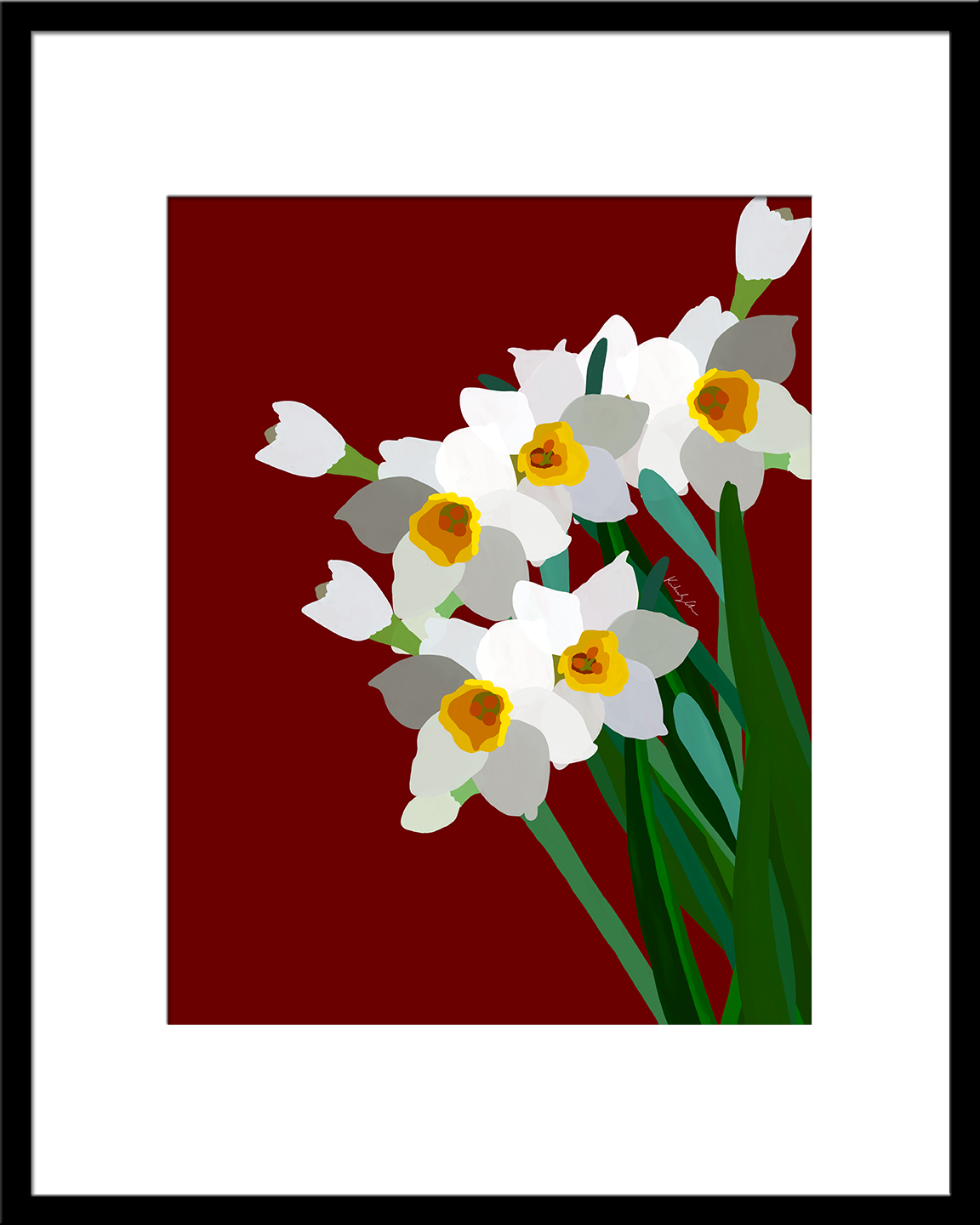 Daffodils (Water Fairies) 2