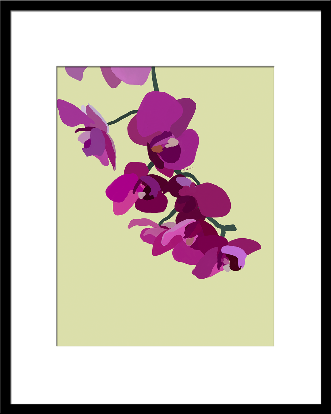 Orchids