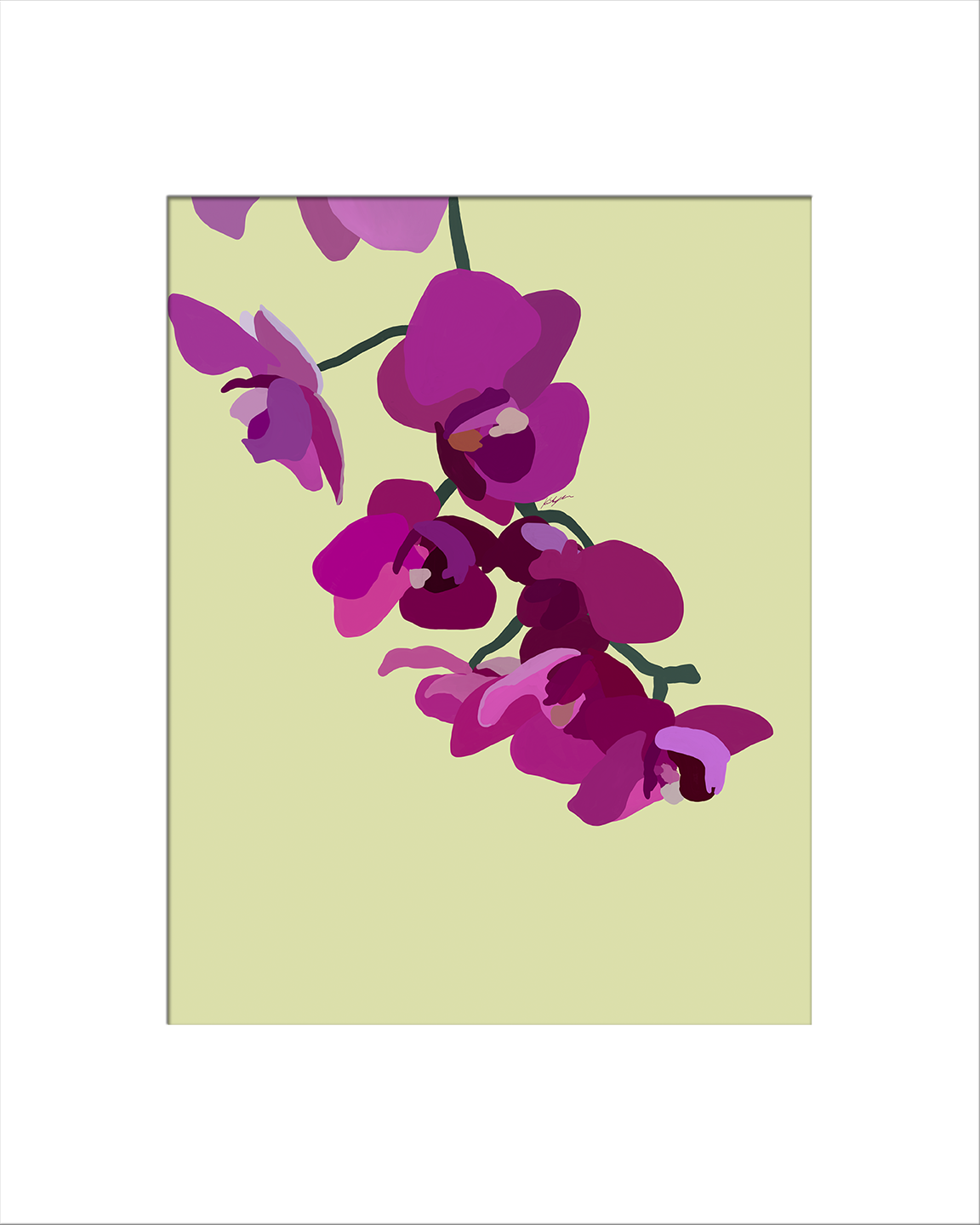 Orchids