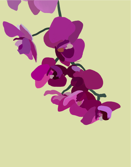 Orchids