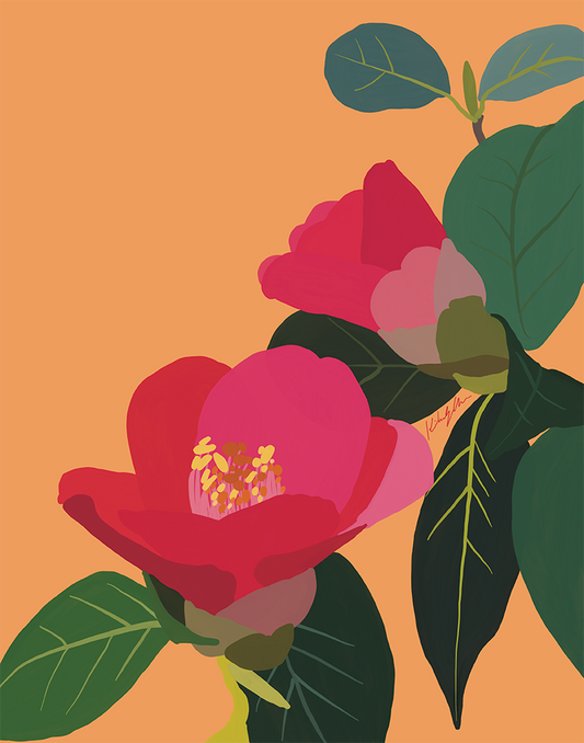 Camellia 1