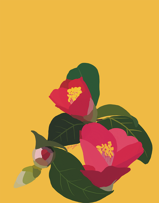 Camellia 2
