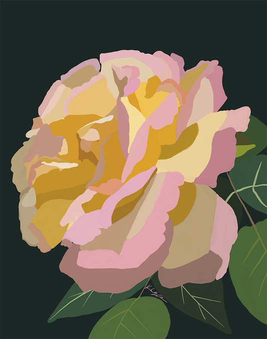 Peace Rose