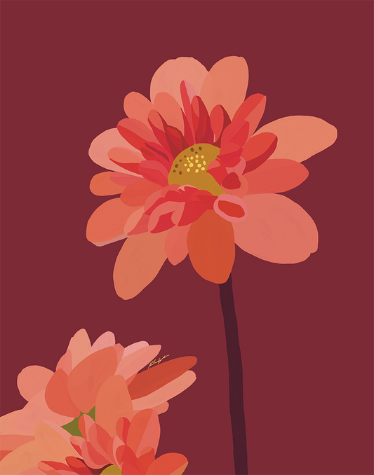 Lake Hills Creamsicles