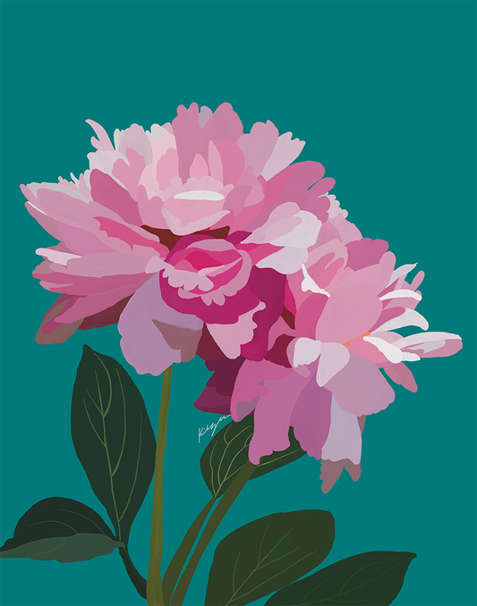 Dinner Plate Peonies
