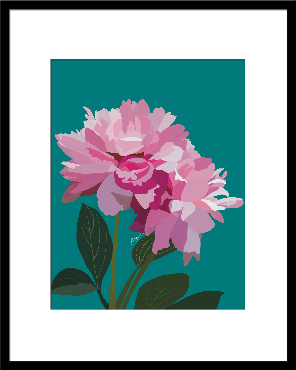 Dinner Plate Peonies