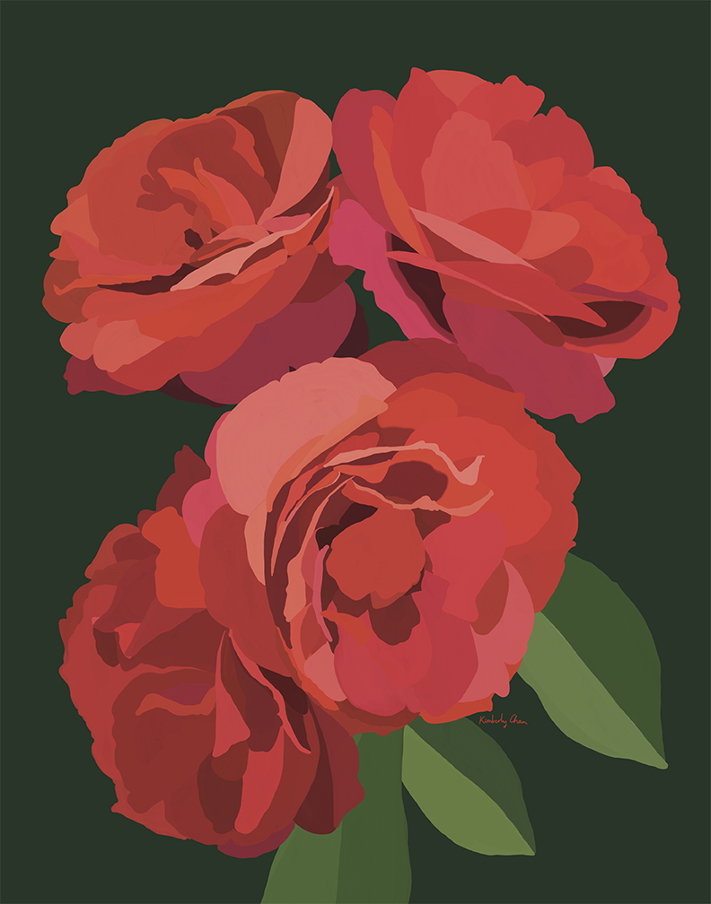 Hot Cocoa Roses - Drama