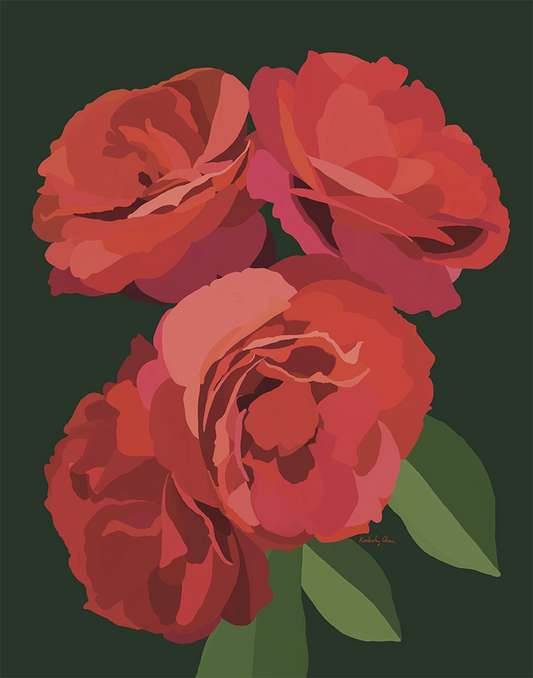 Hot Cocoa Roses - Drama