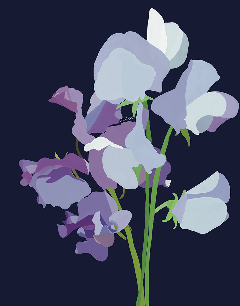 Sweet Peas