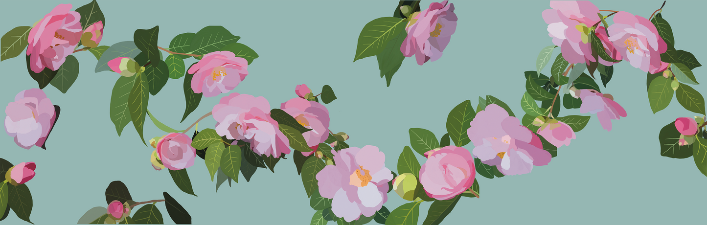 Camellia Wonderland