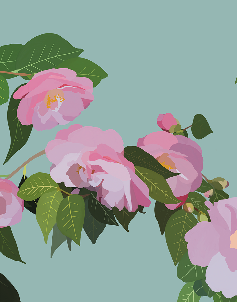 Camellia Wonderland
