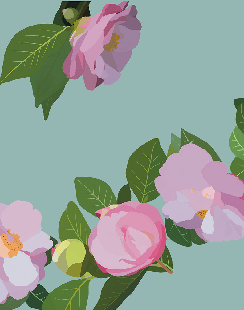 Camellia Wonderland