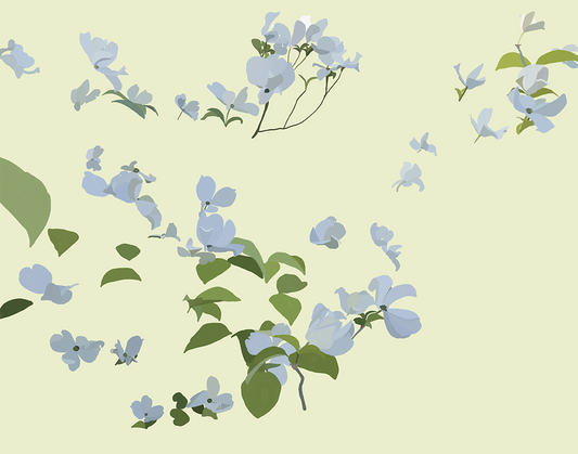 Dogwood Dreams