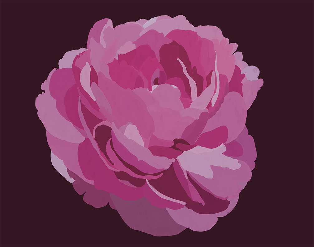 Pink Double Peony