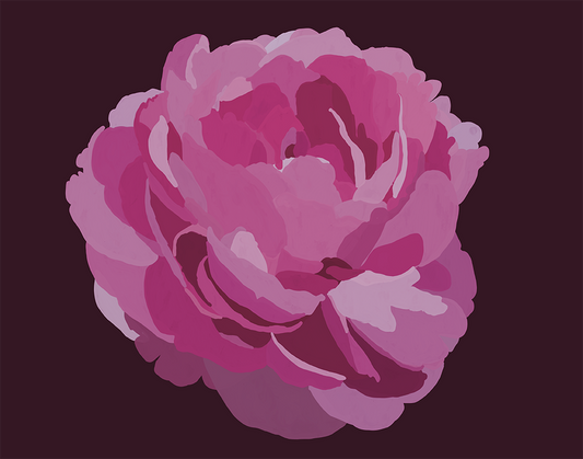 Pink Double Peony