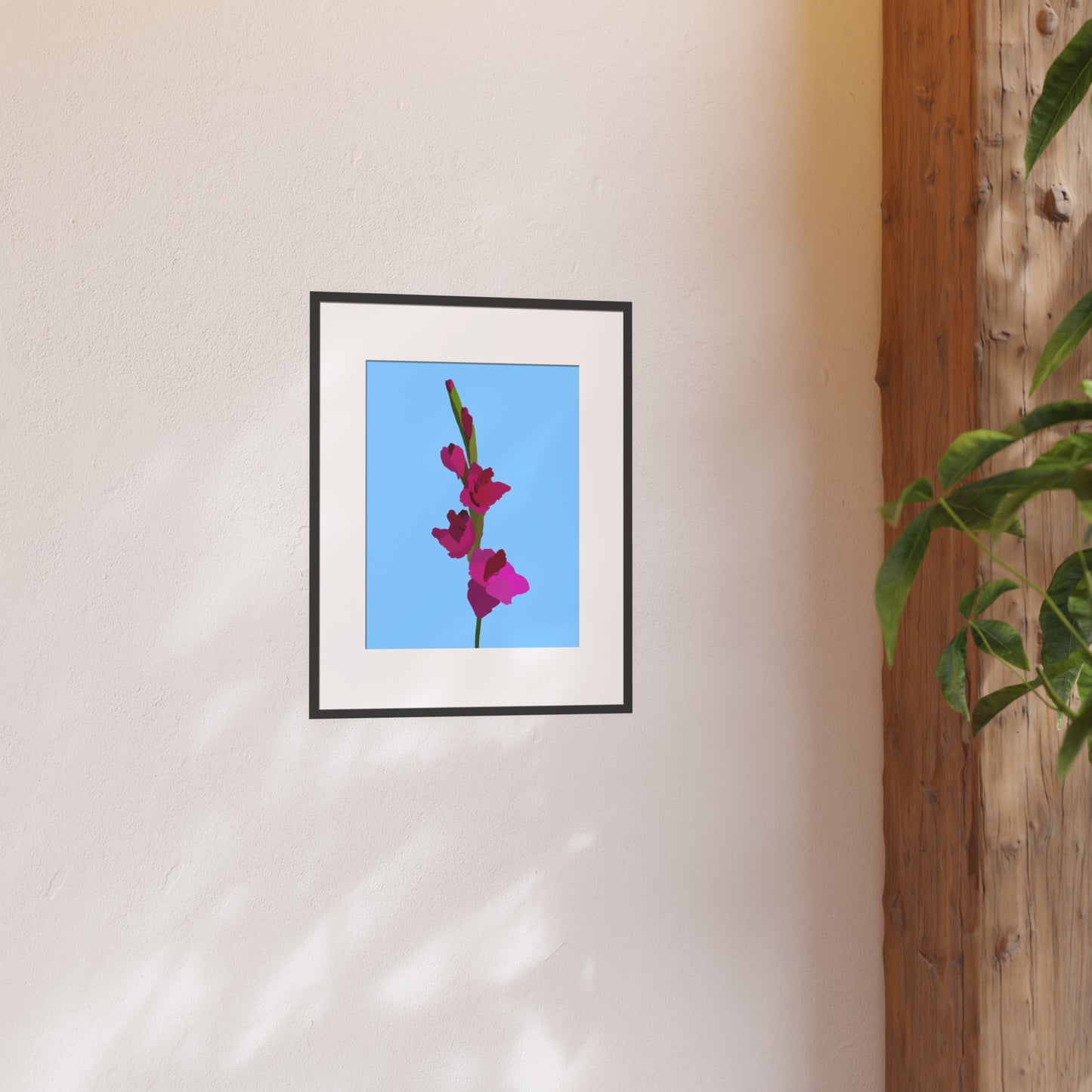 Purple Gladiolus (Sword Lily)